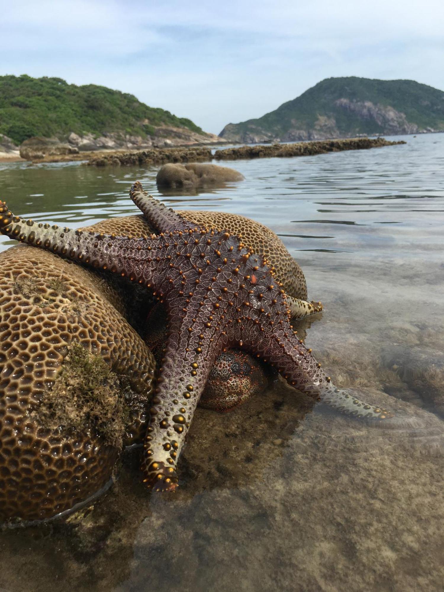 Cham Island Homestay Lau Thu Tân Hiệ Εξωτερικό φωτογραφία